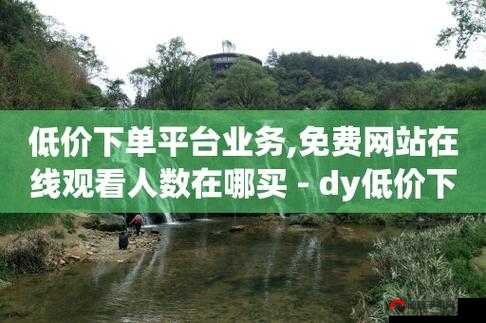 Dy低价二十四小时下单平台：引领购物新潮流